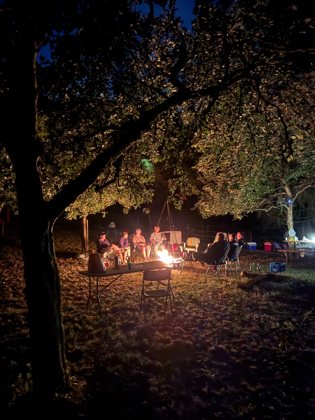 Camping Ochsenbach 2026